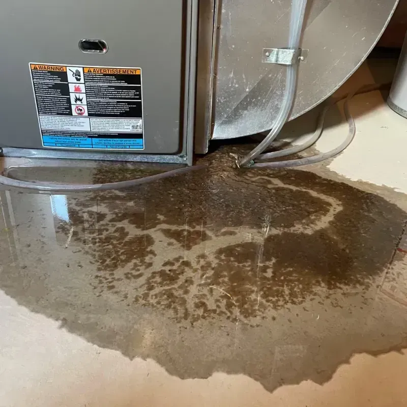 Appliance Leak Cleanup in Janesville, CA